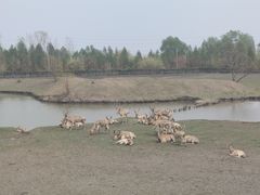 -溱湖国家湿地公园