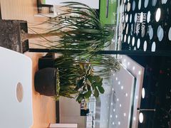 -813芭依珊 BAESAn(皇冠十畝地店)