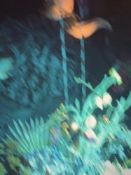 -WAVE SODA摄影工作室