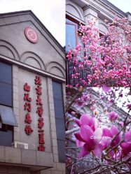 -北京大学第一医院妇产儿童医院