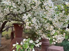 -元大都城垣遗址公园