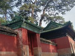 -普乐寺