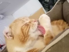 -平行世界·猫咖(首经贸店)