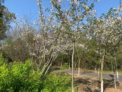 -上海海湾国家森林公园