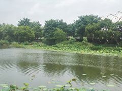 -新江湾城公园