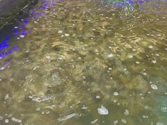 -盒马鲜生(宝地店)