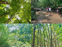 -桤木河湿地公园