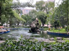 -黑龙江大学