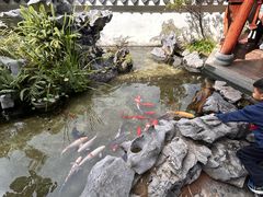 -道南書院·私房菜·早午茶·茶馆