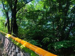 -沈阳市东陵公园