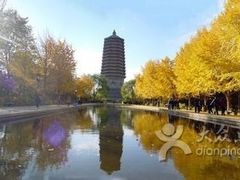 -玲珑塔公园