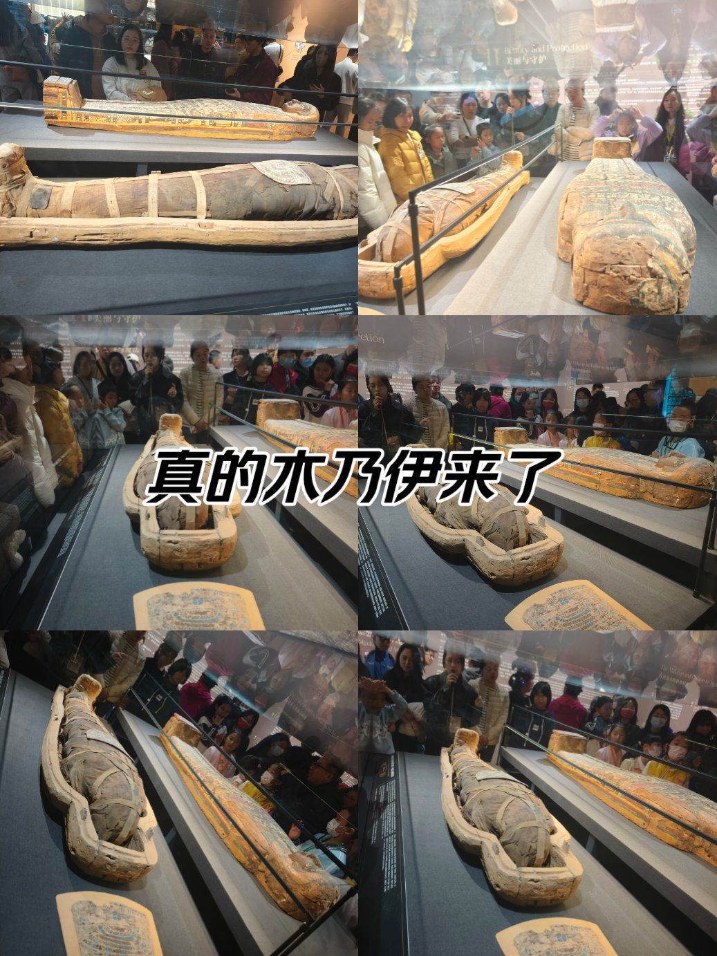 古埃及木乃伊太神了