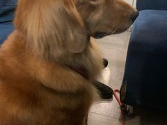 -汇佳桌游剧本咖啡馆(万体馆旗舰店)