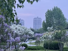 -群力丁香公园