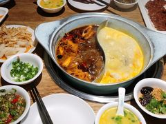 -青瓷火锅料理(西单大悦城店)