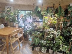 -Rabbit Cafe私房西餐甜点咖啡(栖霞路店)