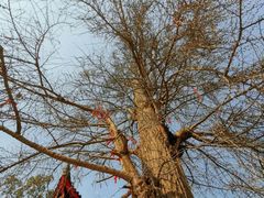 -金堂县云顶石城风景区