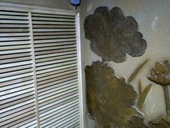 -水晶之星洗浴温泉汗蒸