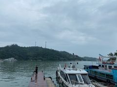 -河源万绿湖美思威尔顿酒店