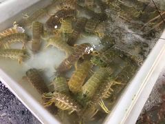 -拉威海鲜市场