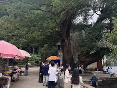 -上坦村