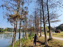 -东莞植物园