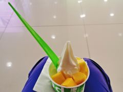 -Salud撒露欧洲冻酸奶(五道口购物中心店)