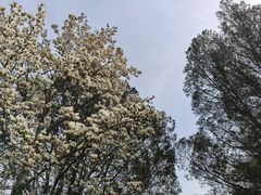 -国家植物园南园