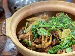 焖鸡煲-广宁炭炉鸡煲·富临门饭店
