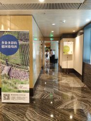 -广州富力君悦大酒店·宴会厅