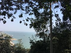 -羚羊峡古栈道森林公园