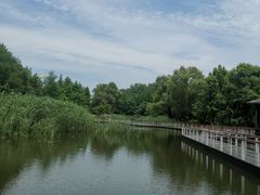 -同里国家湿地公园