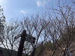 -龙洞风景区-藏龙涧