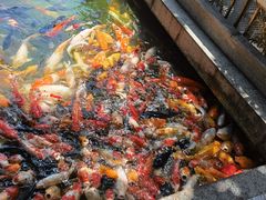 -番禺宾馆丽苑厅