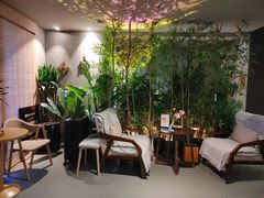 -施奈儿.洗头頭療.按摩SPA.采耳(上梅林店)