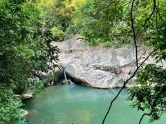 -广州白江湖森林公园