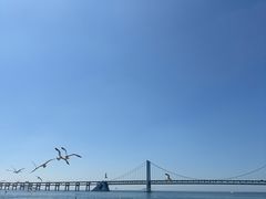 -星海广场