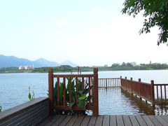 -飞来湖湿地公园