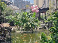 -顺德渔村·岭南一号