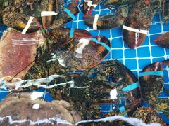 -87号烧烤海鲜·大排档(金沙滩店)