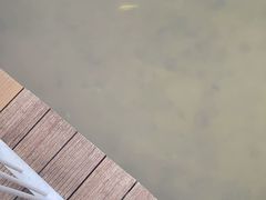 -福田红树林生态公园