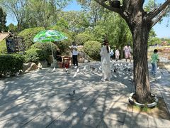 -中国翰园碑林