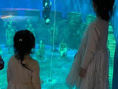 -太奥幻太奇海洋馆