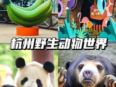 -杭州野生动物世界