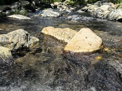 -石台牯牛降景区