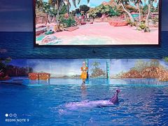 -大连老虎滩海洋公园