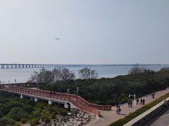 -宝安西湾红树林湿地公园