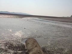 -鄱阳湖国家湿地公园