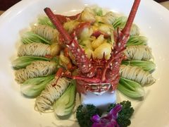 -碧丽宫大酒店(召稼楼店)