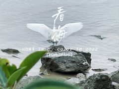 -深圳湾公园(南山区)